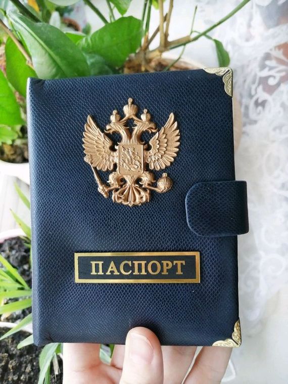 прописка в Дальнегорске